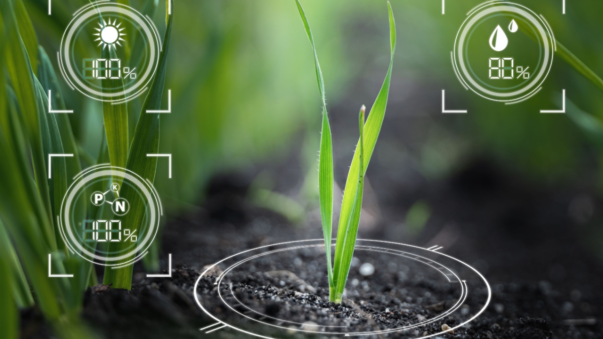 Een kunstmatige intelligentie stelt voor om te praten met de planten in uw tuin, de groene revolutie komt snel dichterbij