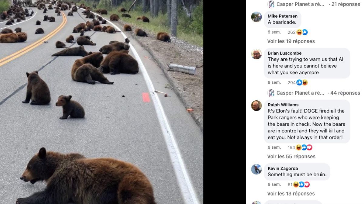 Het gerucht over de beren in Yellowstone